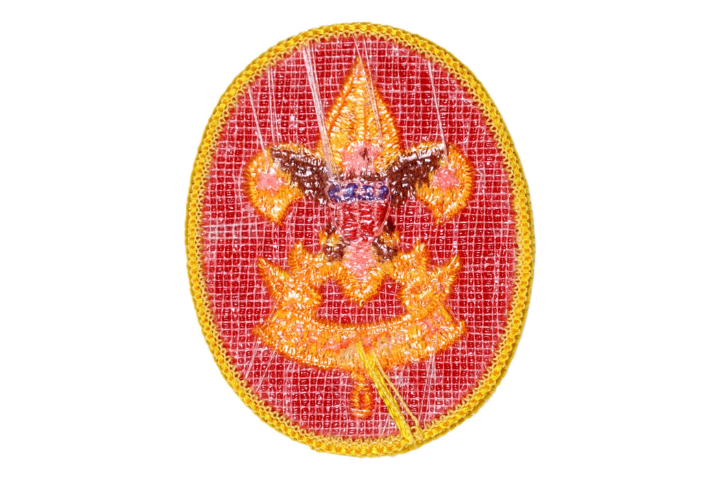First Class Rank Patch 1976 - 1989 Type 14 Plastic/Gauze Back