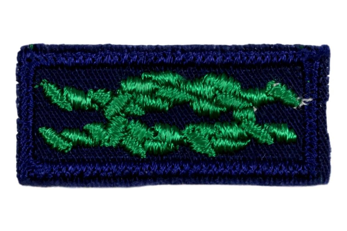 Scouter's Training Award Knot Blue Gauze Back
