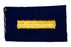 Assistant Denner Patch 1950s