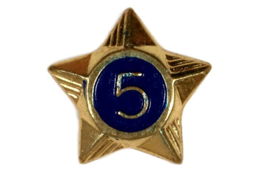 5 Year Service Star