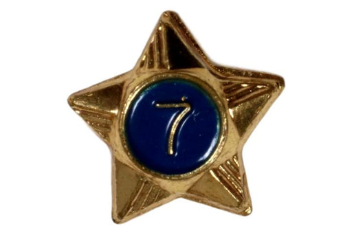 7 Year Service Star