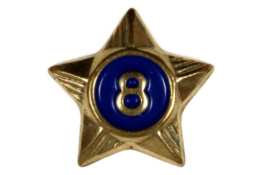 8 Year Service Star