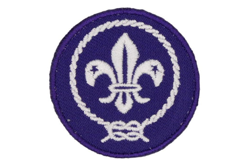 Boy Scout World Crest Patch 1 5/8"