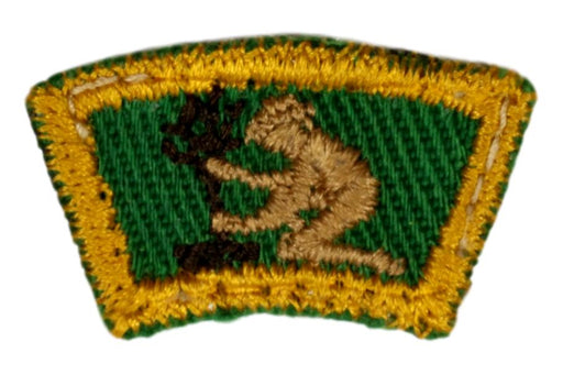 Senior Scout Title - Scout Conservationist
