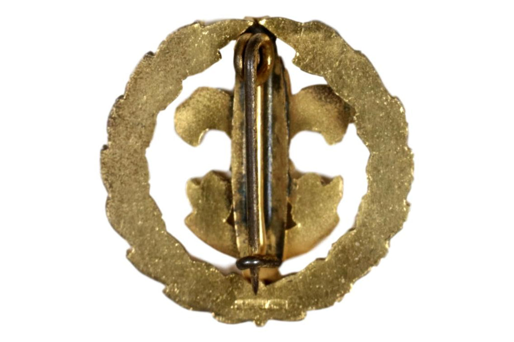 Assistant District Commissioner Collar Pin