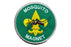 Mosquito Magnet Spoof Position Patch