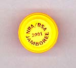 2001 NJ NRA-BSA Pin