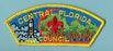 Central Florida CSP T-1 Plain Back