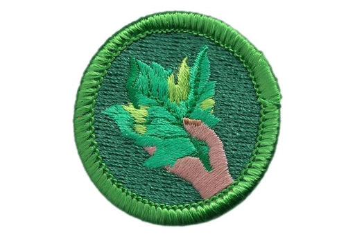 Alternative TP Merit Badge