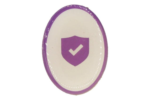 Protect Yourself Rules Scout Activity Pin