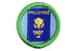 Frequent Flyer Merit Badge