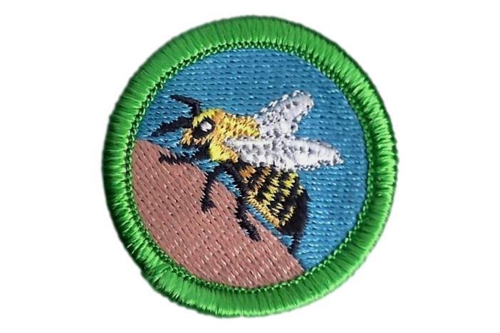 Bee Sting Merit Badge — Eagle Peak Store