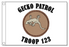 Gecko Patrol Flag - Silver