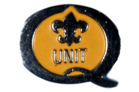 Pin - 1995 Quality Unit