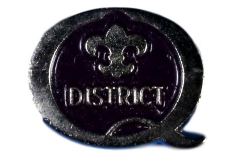 Pin - 1999 Quality District