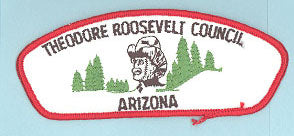 Theodore Roosevelt CSP T-2 Plain Back