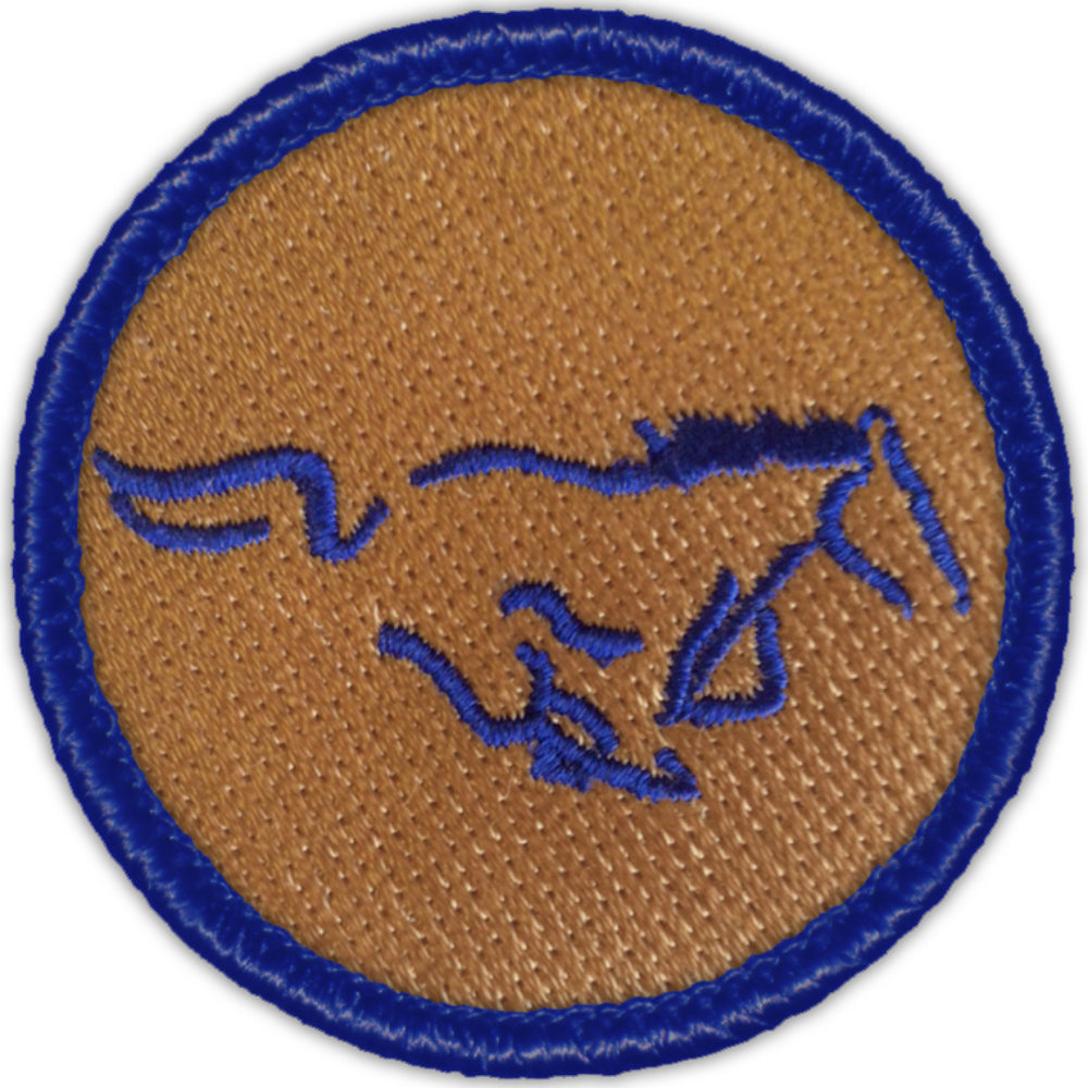 Blue Mustang Patrol Patch