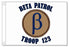 Beta Patrol Flag