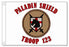Paladin Shield Patrol Flag