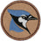 Blue Jay Patrol Patch