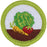Gardening Merit Badge