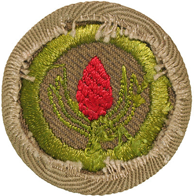 Forrestry Ribbons Forestry MB Wide Border Tan — Eagle Peak Store