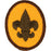 Boy Scout Rank Patch 1973-89 Plastic/Gauze Back