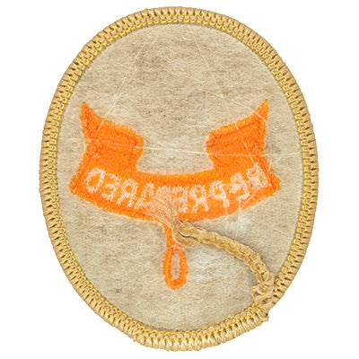 Second Class Rank Patch Tan 1998-2002 Clear Plastic Back