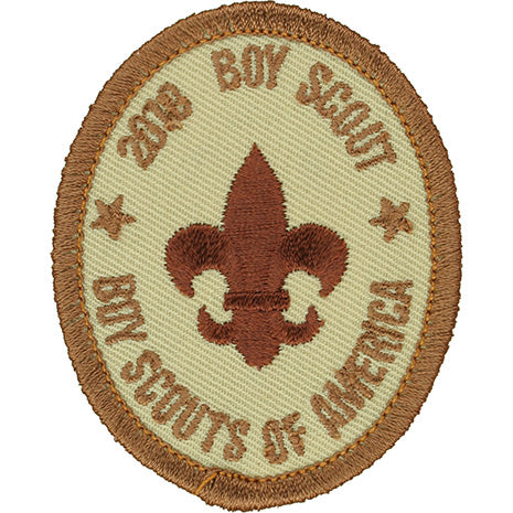 Boy Scout Rank Patch 2010 Tan Scout Stuff Back