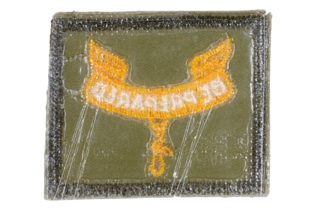 Second Class Rank Patch 1960s Type 9B Smooth Twill Plastic Back
