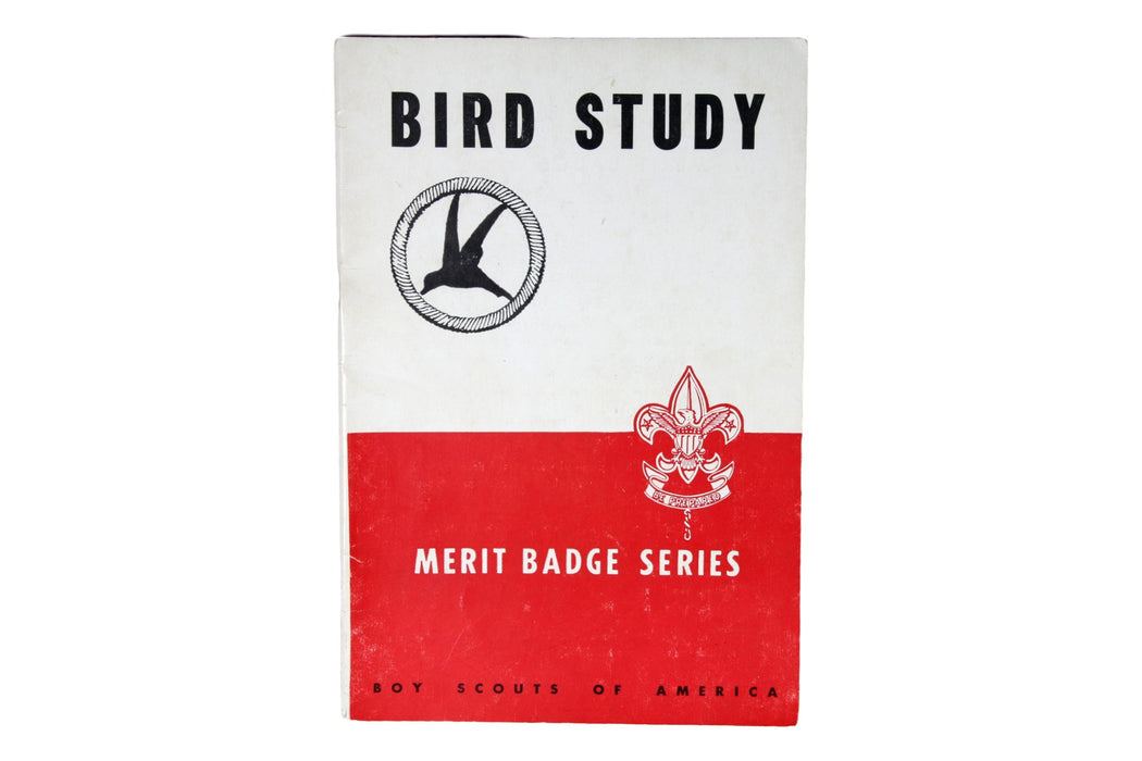 Bird Study MBP 1946