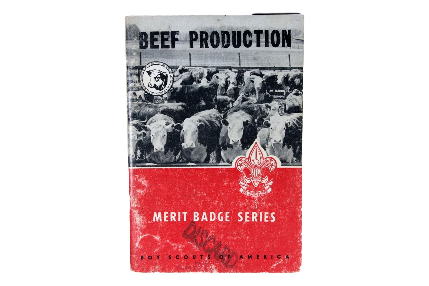 Beef Production MBP 1964