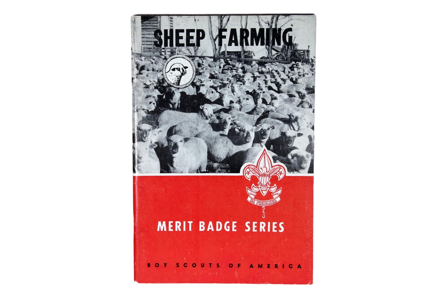 Sheep Farming MBP 1964