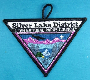 Silver Lake District Patch