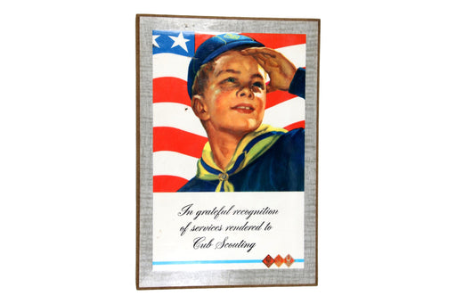 In Grateful Recognition Cub Scout Plaque