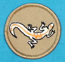 Gecko PM Orange Color SSB