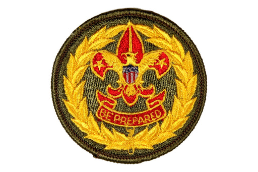 Assistant Field Executive Patch 1960s