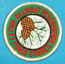 Delmont Scout Reservation Patch