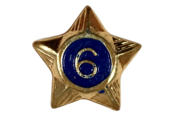 6 Year Service Star