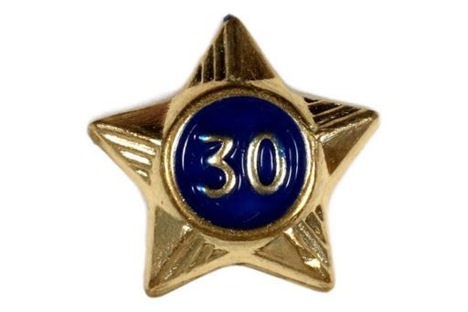 30 Year Service Star