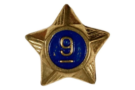 9 Year Service Star