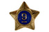 9 Year Service Star