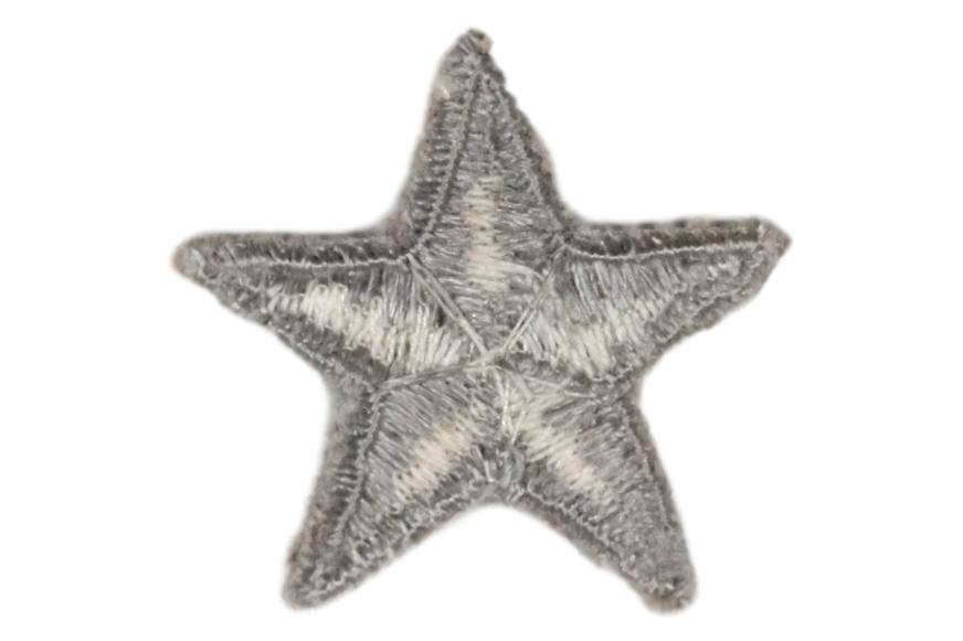 Star Patch Silver 25mm