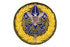 District Commissioner Patch 1950s