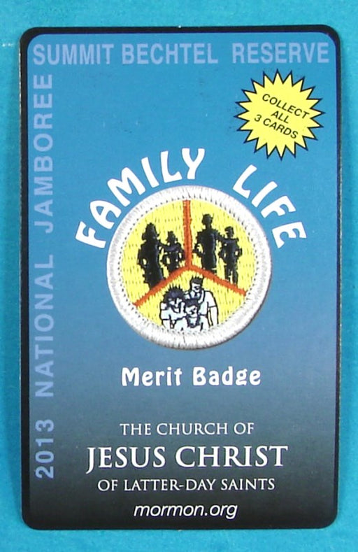2013 NJ Faith and Beliefs Card Family Life Merit Badge