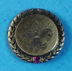 Utah National Parks Academy of Commissioner Service Lapel Pin