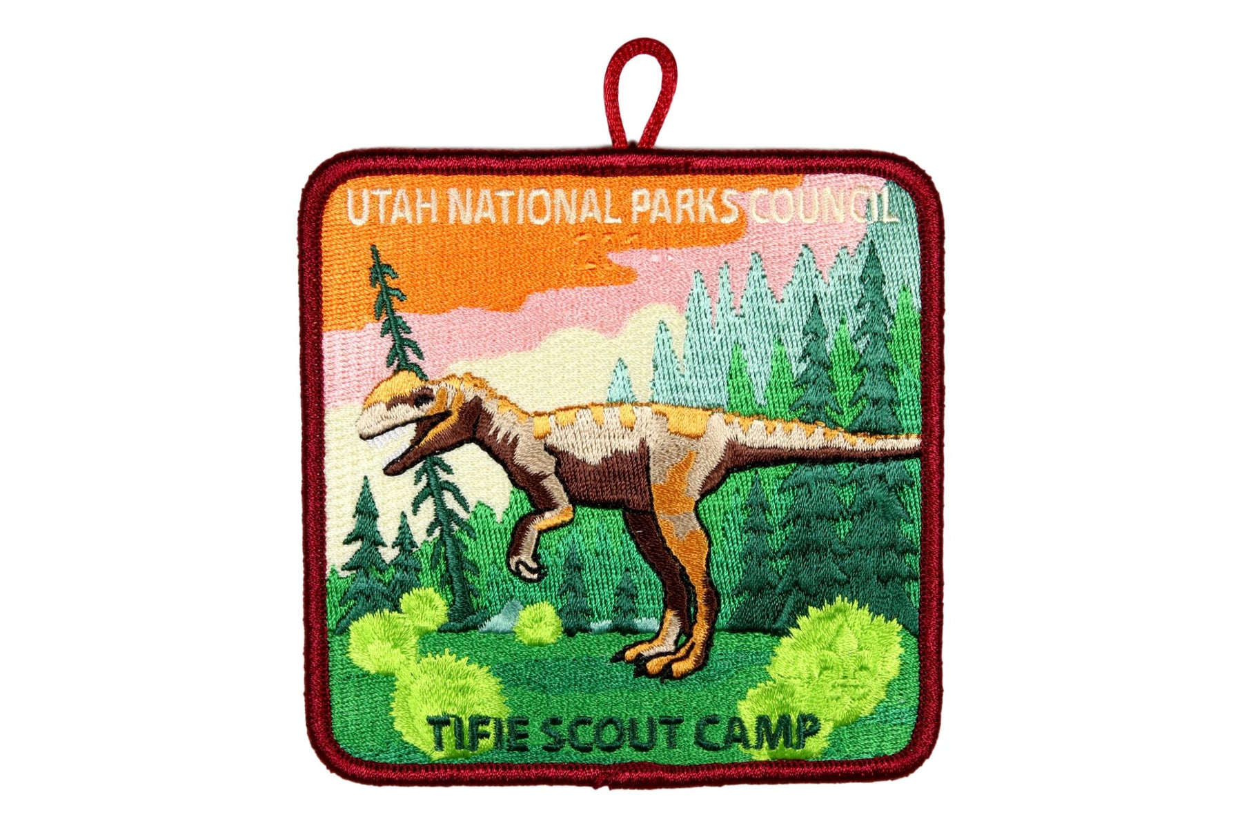 Tifie Scout Camp Patch 2014