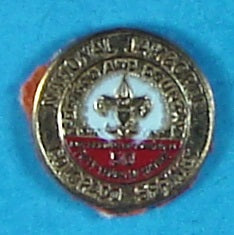 1960 NJ Pin