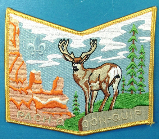 Lodge 508 Patch Pach-Qu-Oon-Quip Chapter Yellow Border
