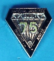 1985 NJ Diamond Jubilee Pin